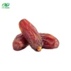 Mabroom Dates – A Taste of Natural Sweetness! Mabroom dates are one of Saudi Arabia’s finest premium dates, known for their soft texture, elongated shape, and mild caramel-like sweetness. Rich in fiber, antioxidants, and essential minerals, they provide a natural energy boost while supporting digestion, heart health, and immunity.